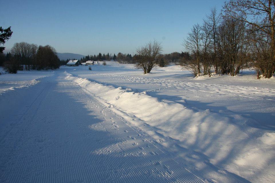 Auberge De La Perdrix Hauterive-la-Fresse Exteriör bild