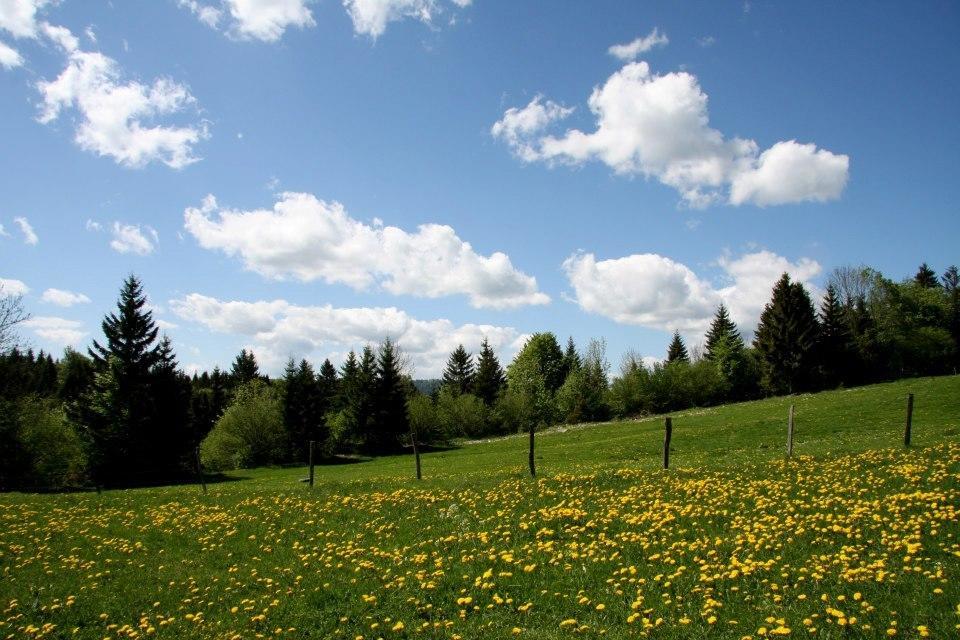 Auberge De La Perdrix Hauterive-la-Fresse Exteriör bild